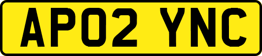 AP02YNC