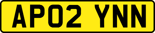 AP02YNN