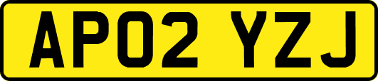 AP02YZJ