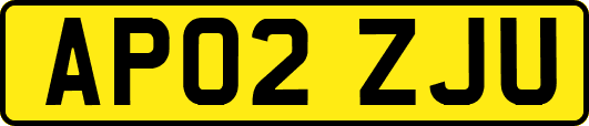 AP02ZJU