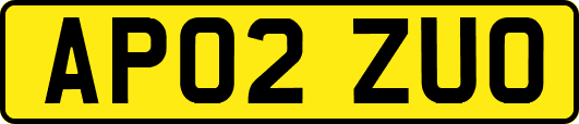 AP02ZUO