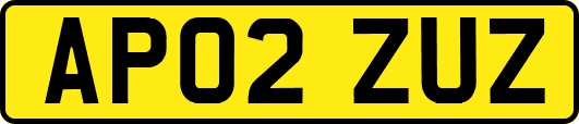 AP02ZUZ