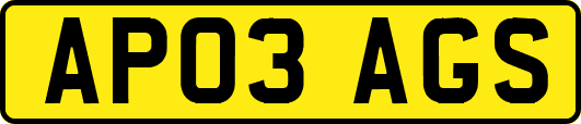AP03AGS