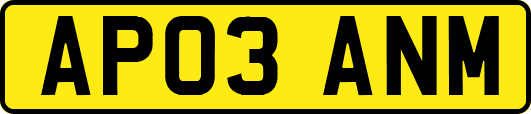 AP03ANM