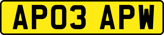AP03APW