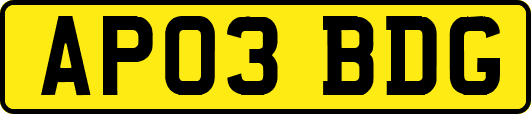 AP03BDG