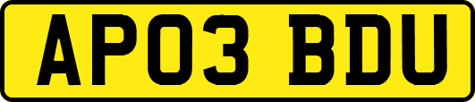 AP03BDU