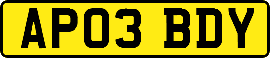 AP03BDY