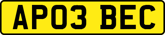 AP03BEC