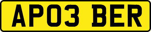 AP03BER