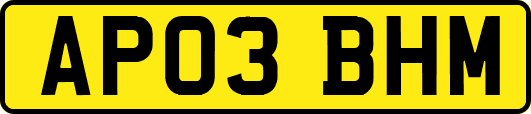 AP03BHM
