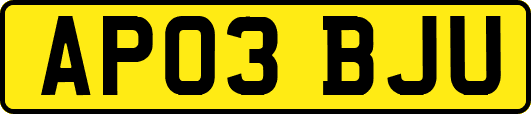 AP03BJU