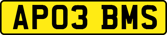 AP03BMS