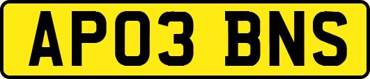 AP03BNS