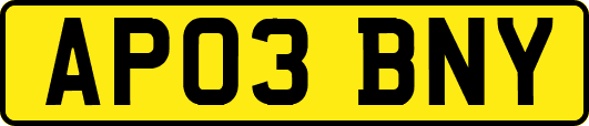 AP03BNY