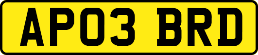 AP03BRD