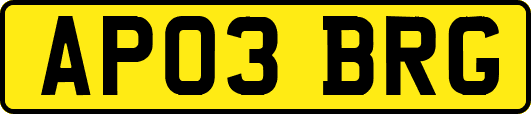 AP03BRG