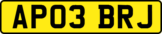 AP03BRJ