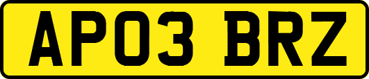 AP03BRZ