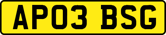 AP03BSG
