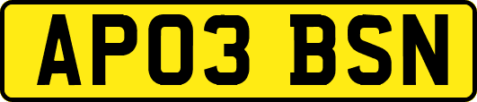 AP03BSN