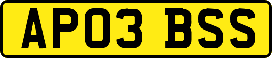 AP03BSS