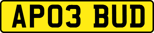 AP03BUD