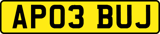 AP03BUJ