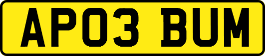 AP03BUM