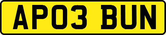 AP03BUN