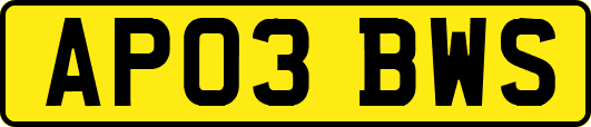 AP03BWS
