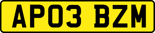 AP03BZM