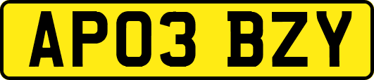 AP03BZY