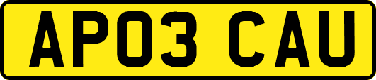 AP03CAU