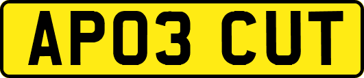 AP03CUT