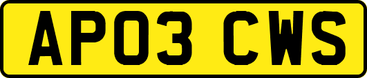 AP03CWS