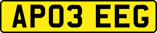 AP03EEG