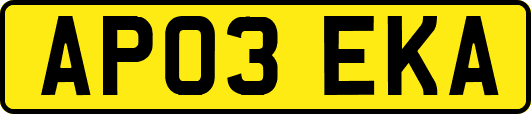 AP03EKA