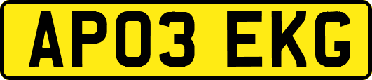 AP03EKG