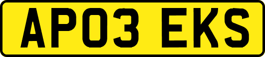 AP03EKS
