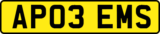 AP03EMS