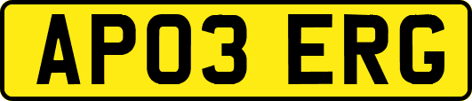 AP03ERG