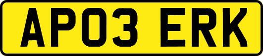 AP03ERK