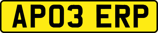 AP03ERP