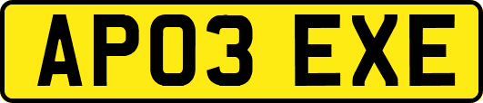 AP03EXE