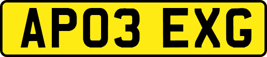 AP03EXG