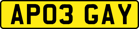 AP03GAY