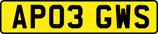 AP03GWS
