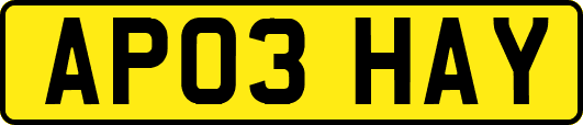 AP03HAY