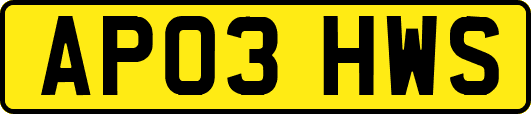 AP03HWS